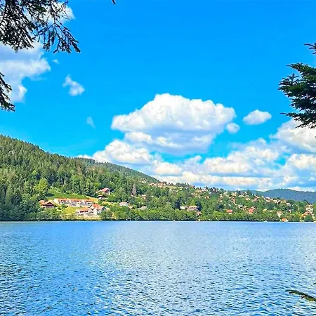 Cozy In アパート *